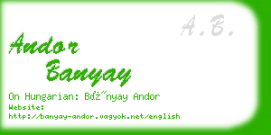 andor banyay business card